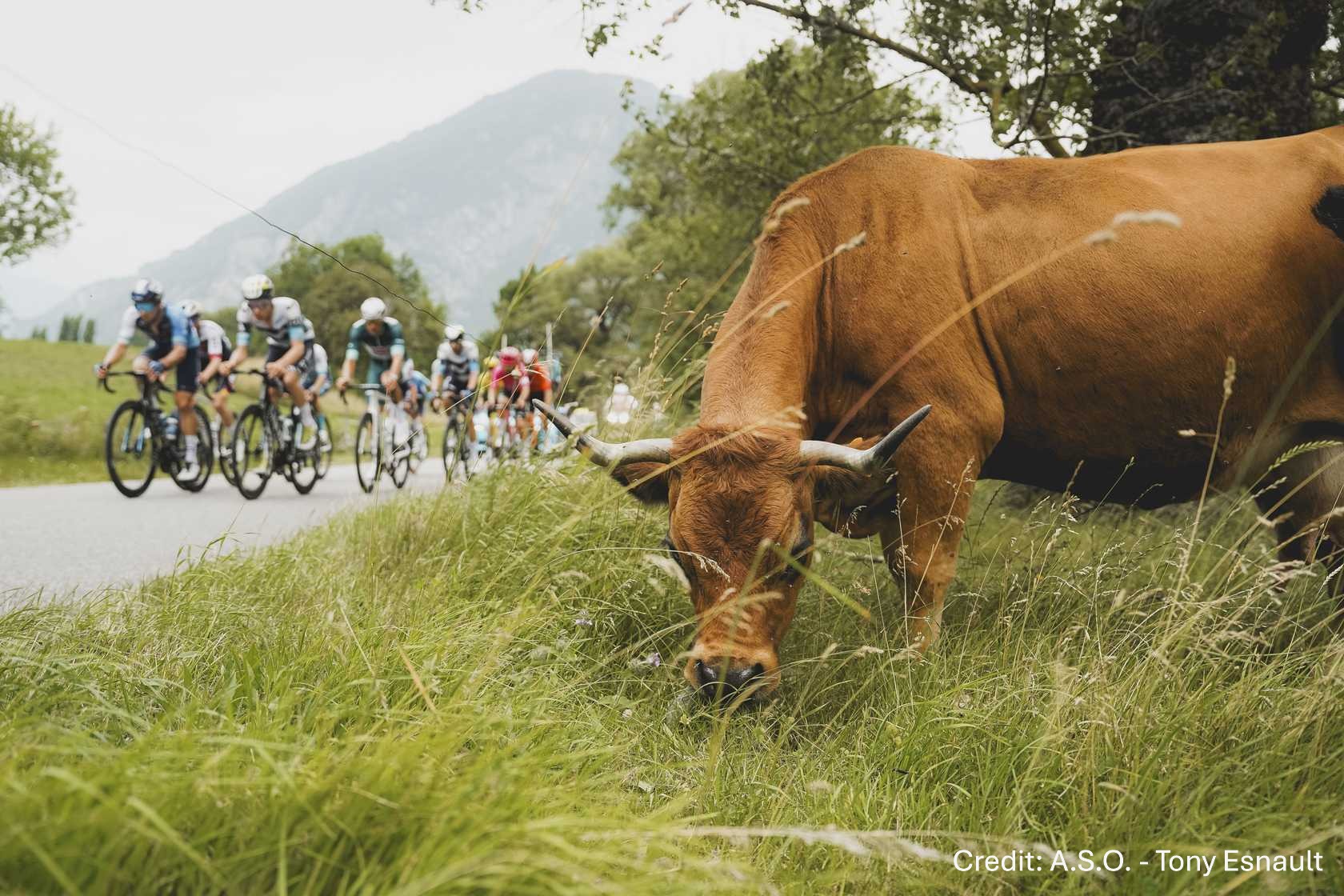 Critérium du Dauphiné 2025 Stage 8 - View 4