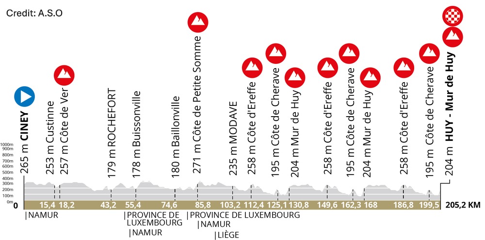 La Flèche Wallonne 2025 - View 6