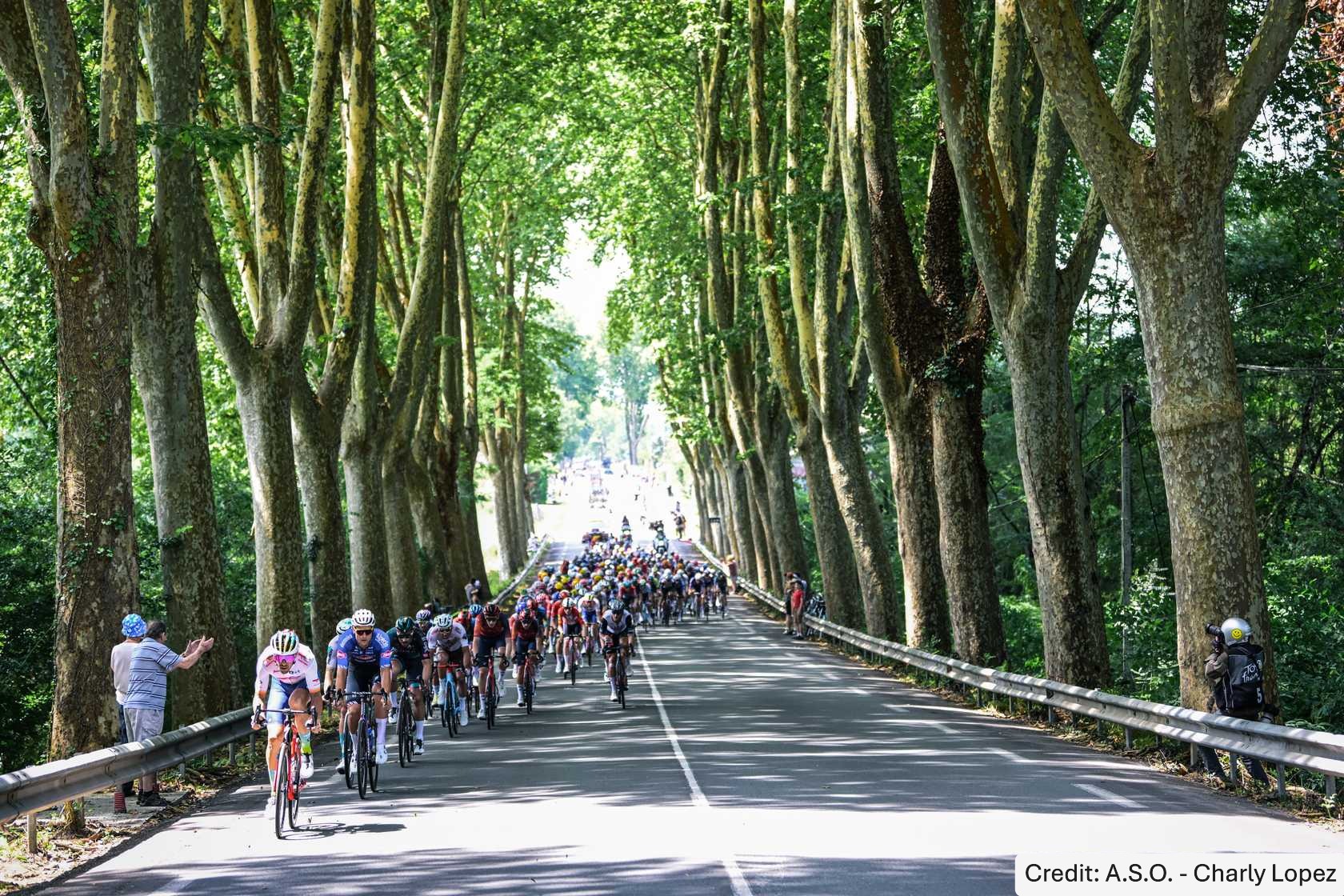 Tour de France 2023 Stage 8 - View 4