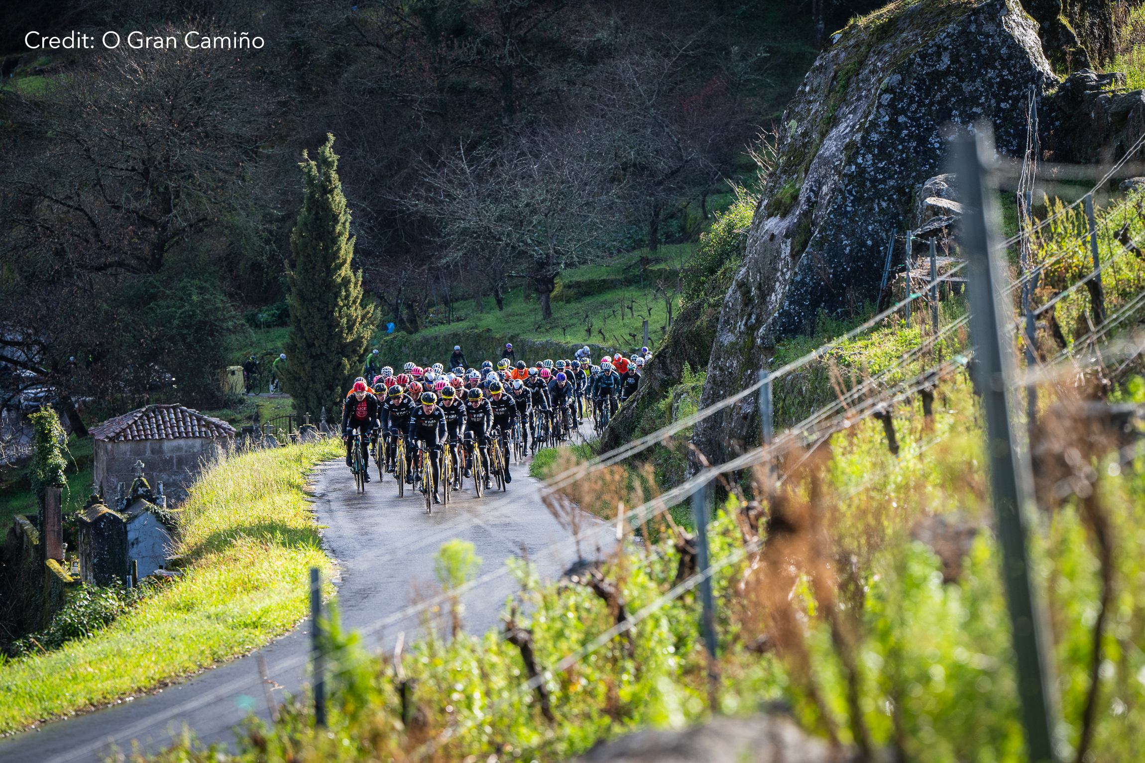 O Gran Camiño - The Historical Route 2024 Stage 2 - View 2