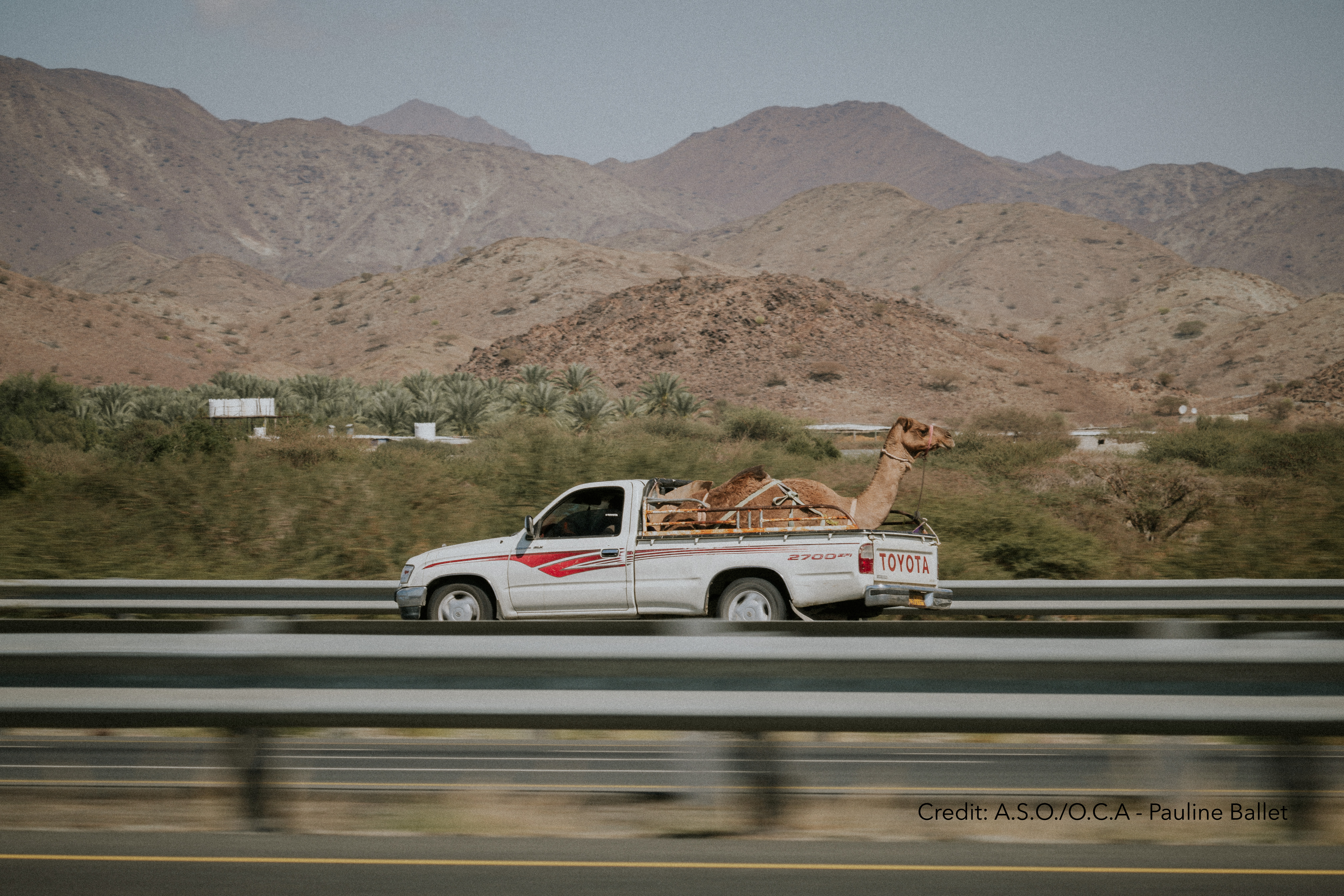 Tour of Oman 2024 Stage 1 - View 4
