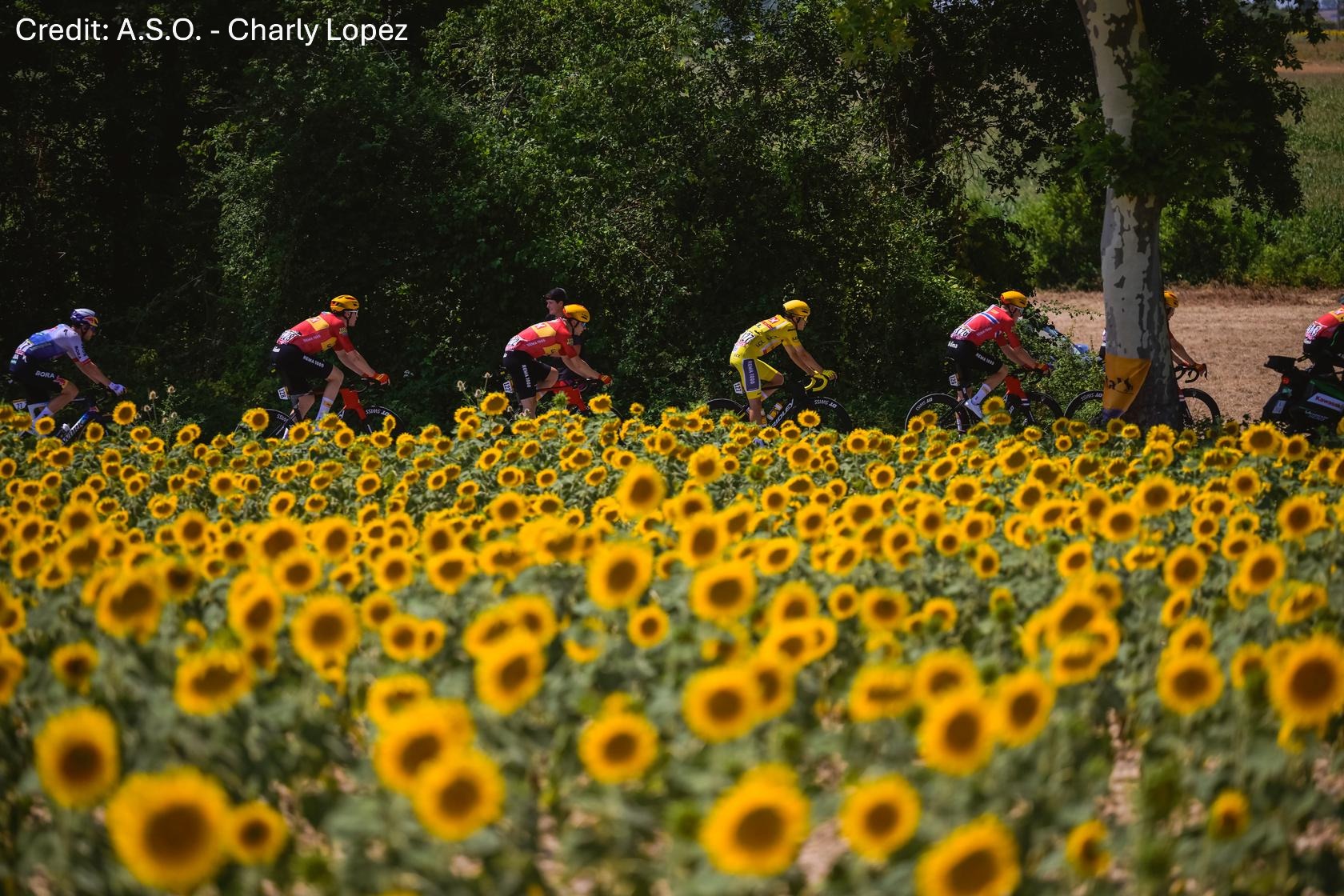 Tour de France 2026 Stage 5 - View 4