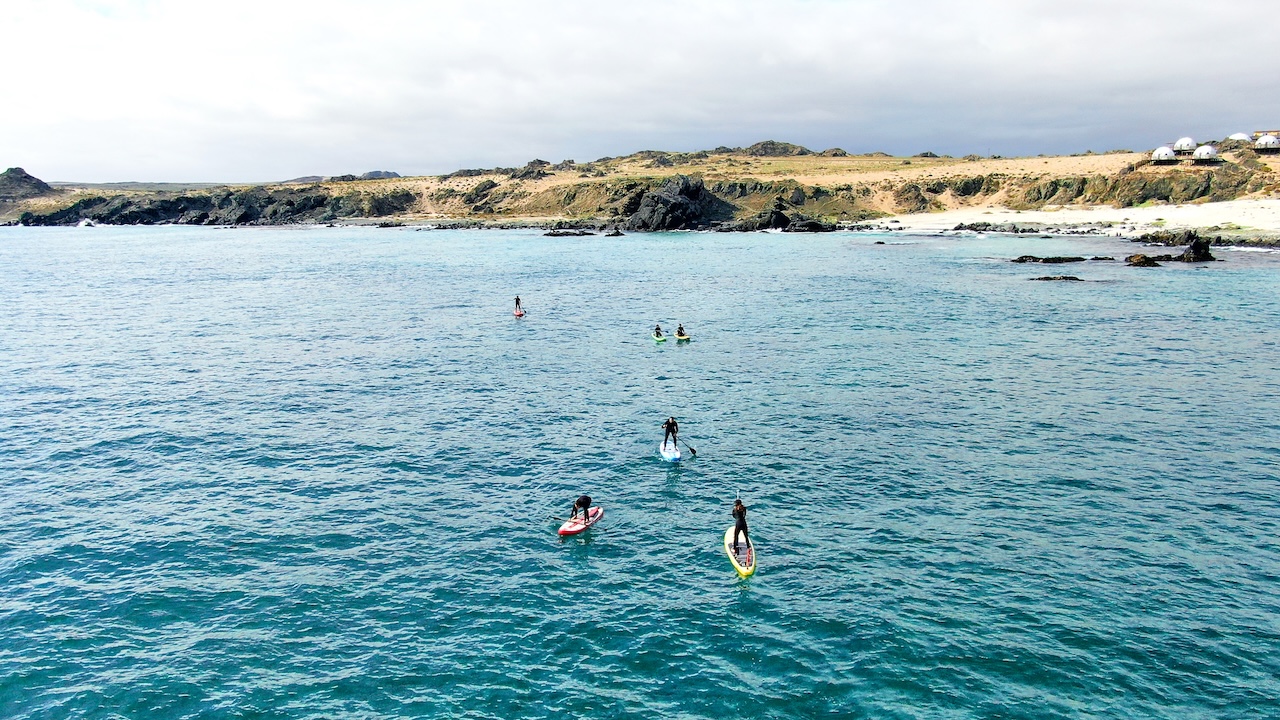 Stand up Paddle Tour Pichilemu