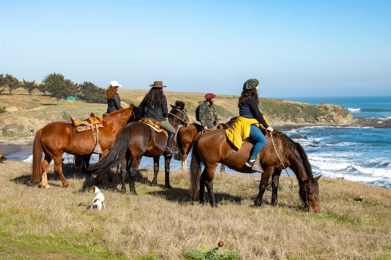Cabalgata Costera en Pichilemu