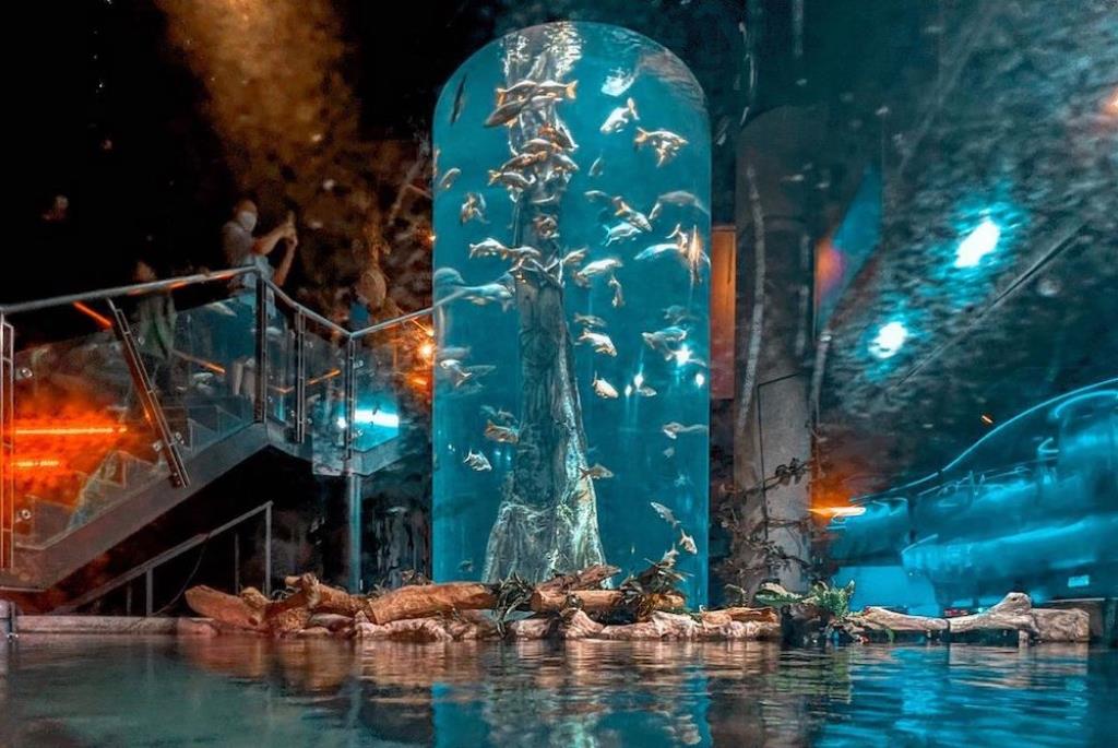 KLCC Aquarium