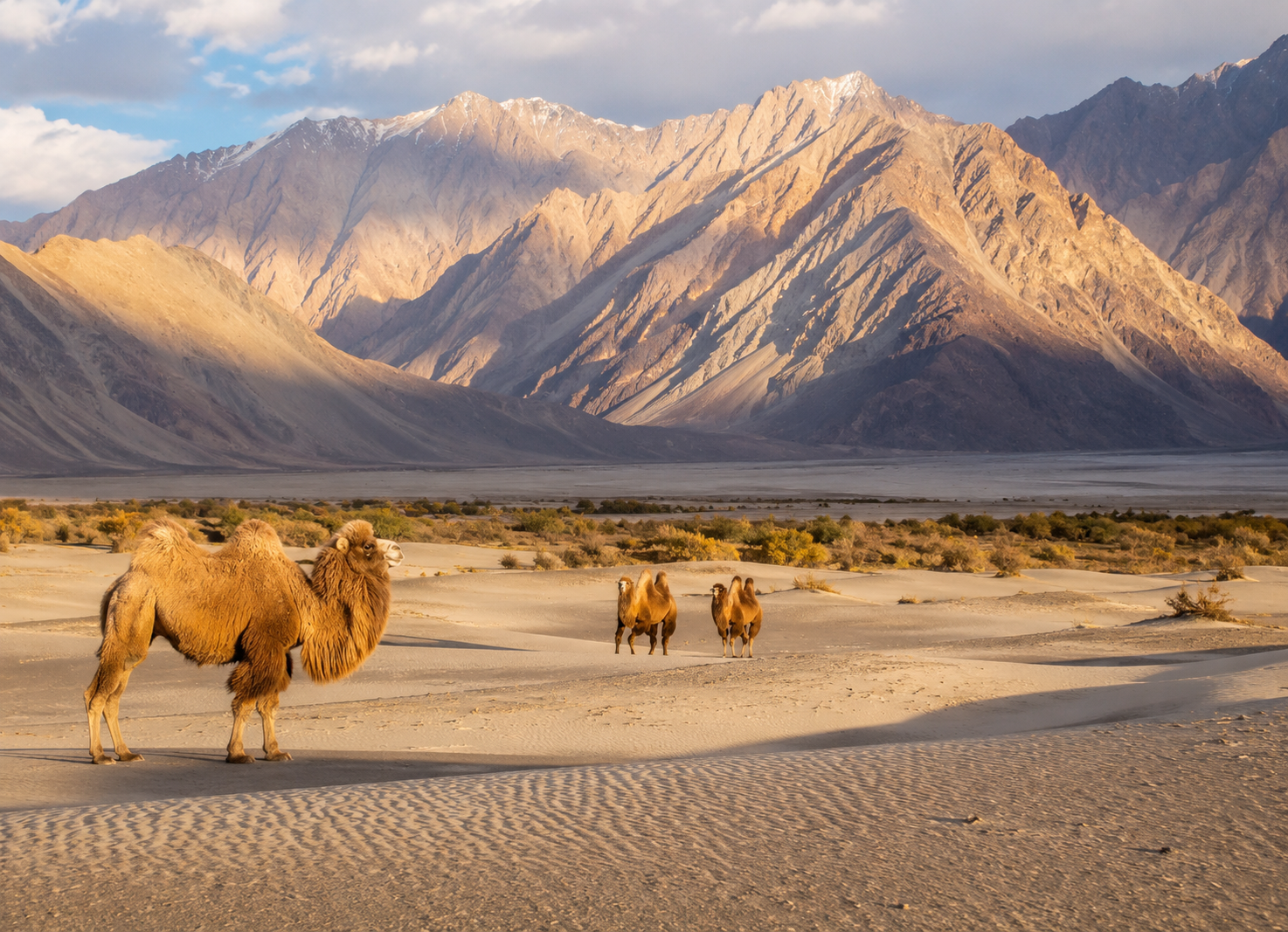 Ladakh Srinagar → Manali 10N11D — Hanle, Umling La & Tso Moriri