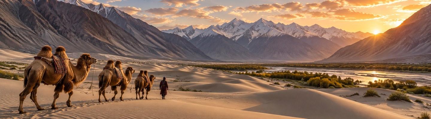 Ladakh Leh–Leh 5N6D — Nubra, Turtuk & Pangong (Shyok)