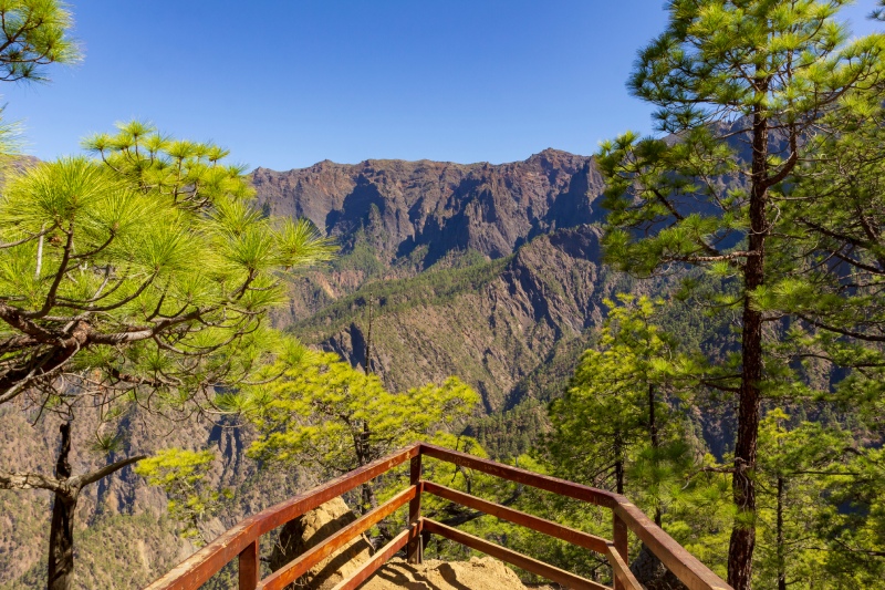 Tenerife — Massifs et forêts luxuriantes