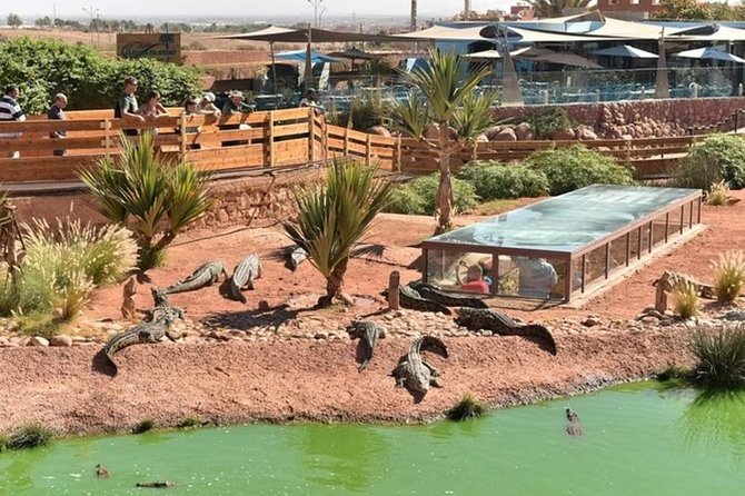 Agadir — Faune et Horizons Lointains