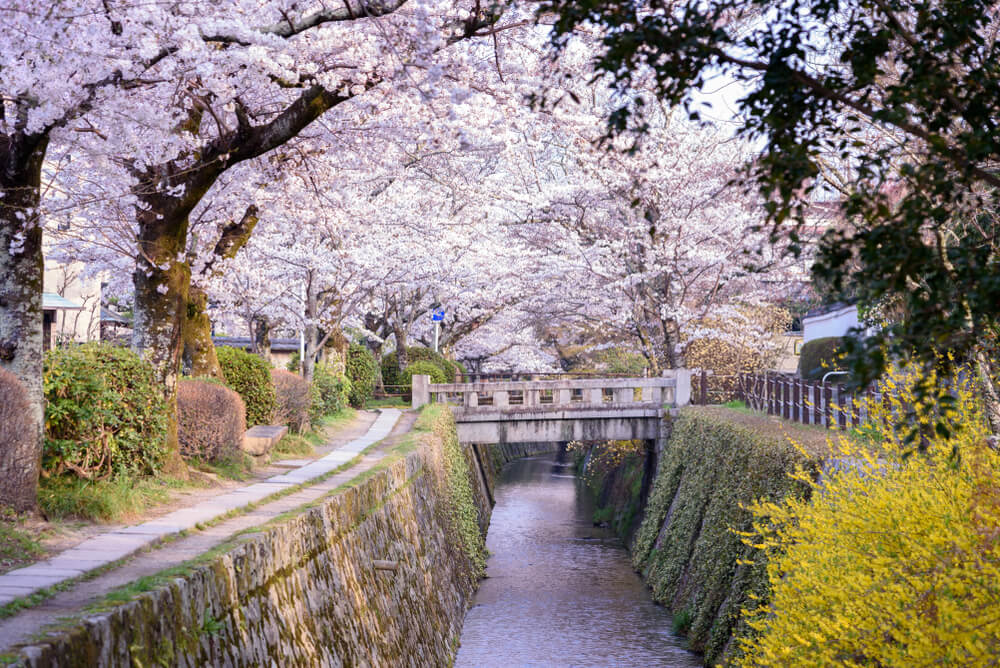 Kyoto — Nature et Sérénité