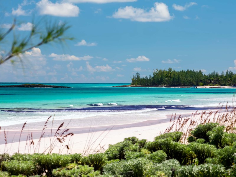 Andros Town — Douceur de vivre et saveurs locales