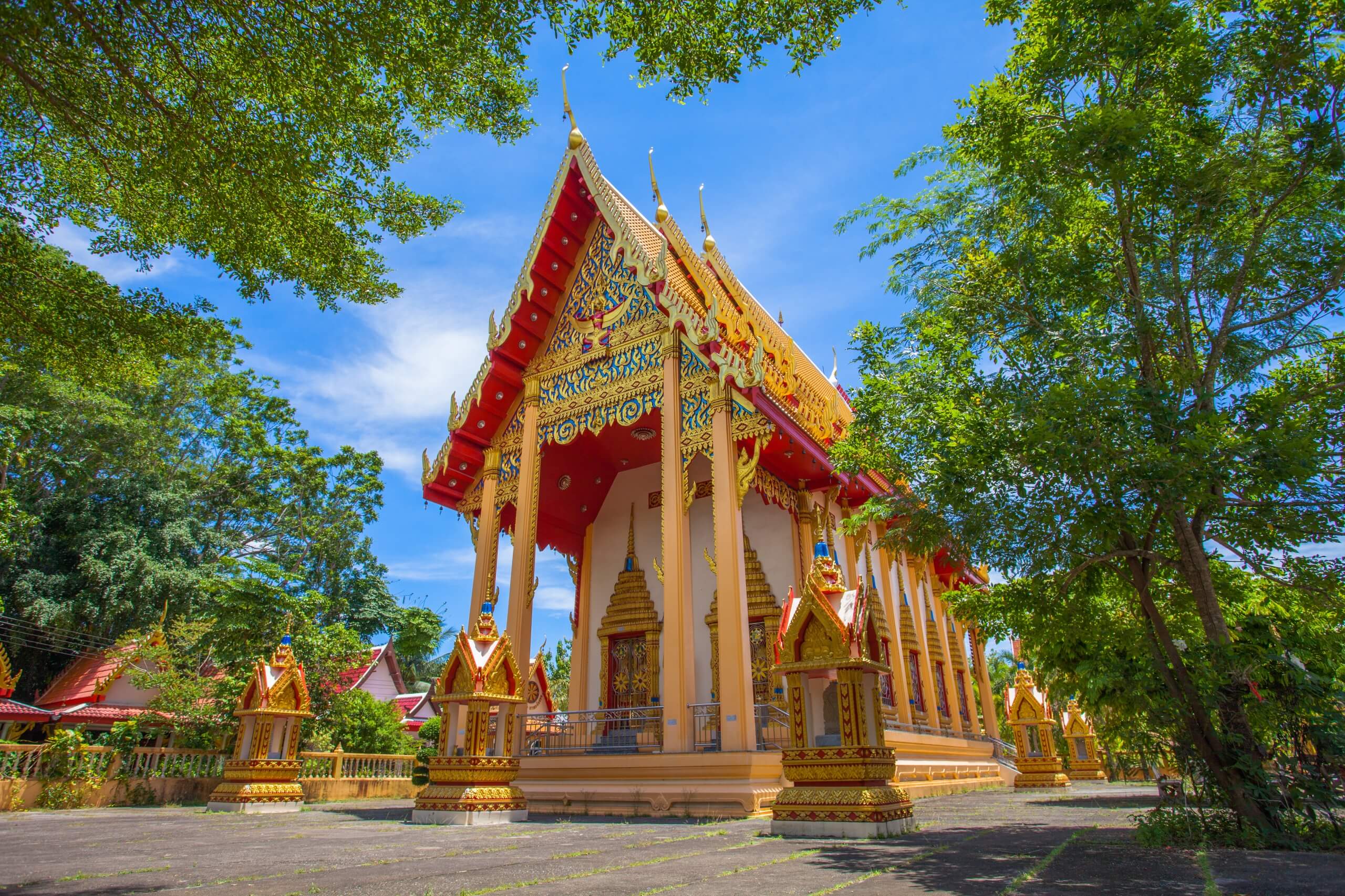 Phuket — Sanctuaire éléphants et temples locaux