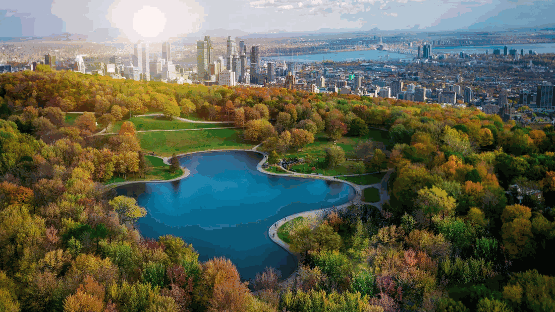 Montréal — Cœur historique et panorama