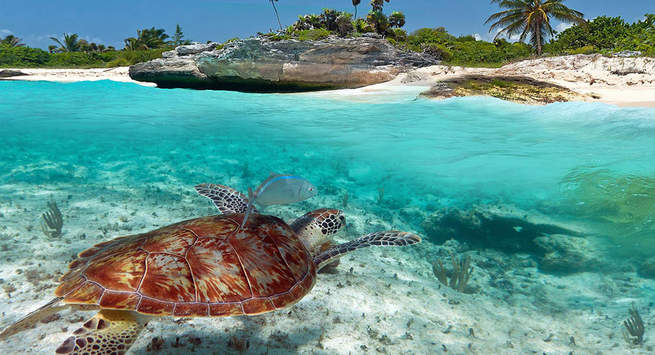 Cancún
