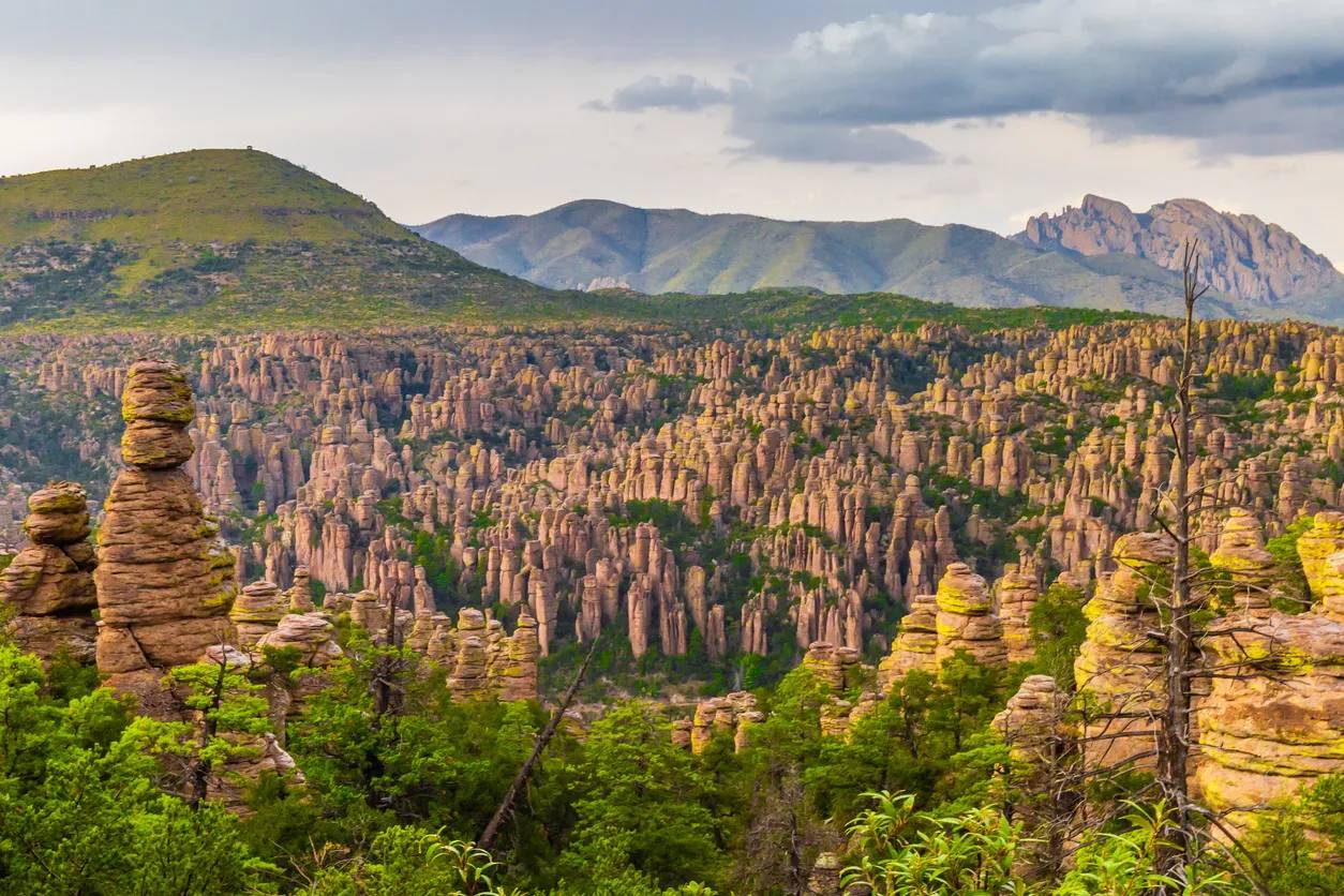 Arizona