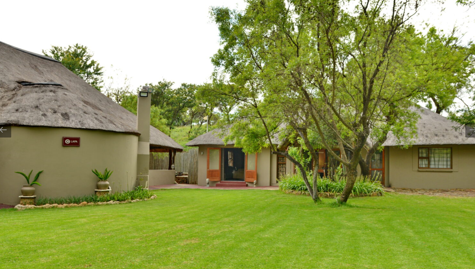 Warthogs Bush Lodge – photo 1