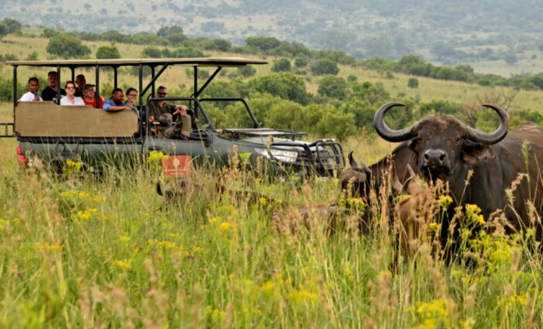 Warthogs Bush Lodge – photo 1