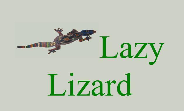The Lazy Lizard – photo 1