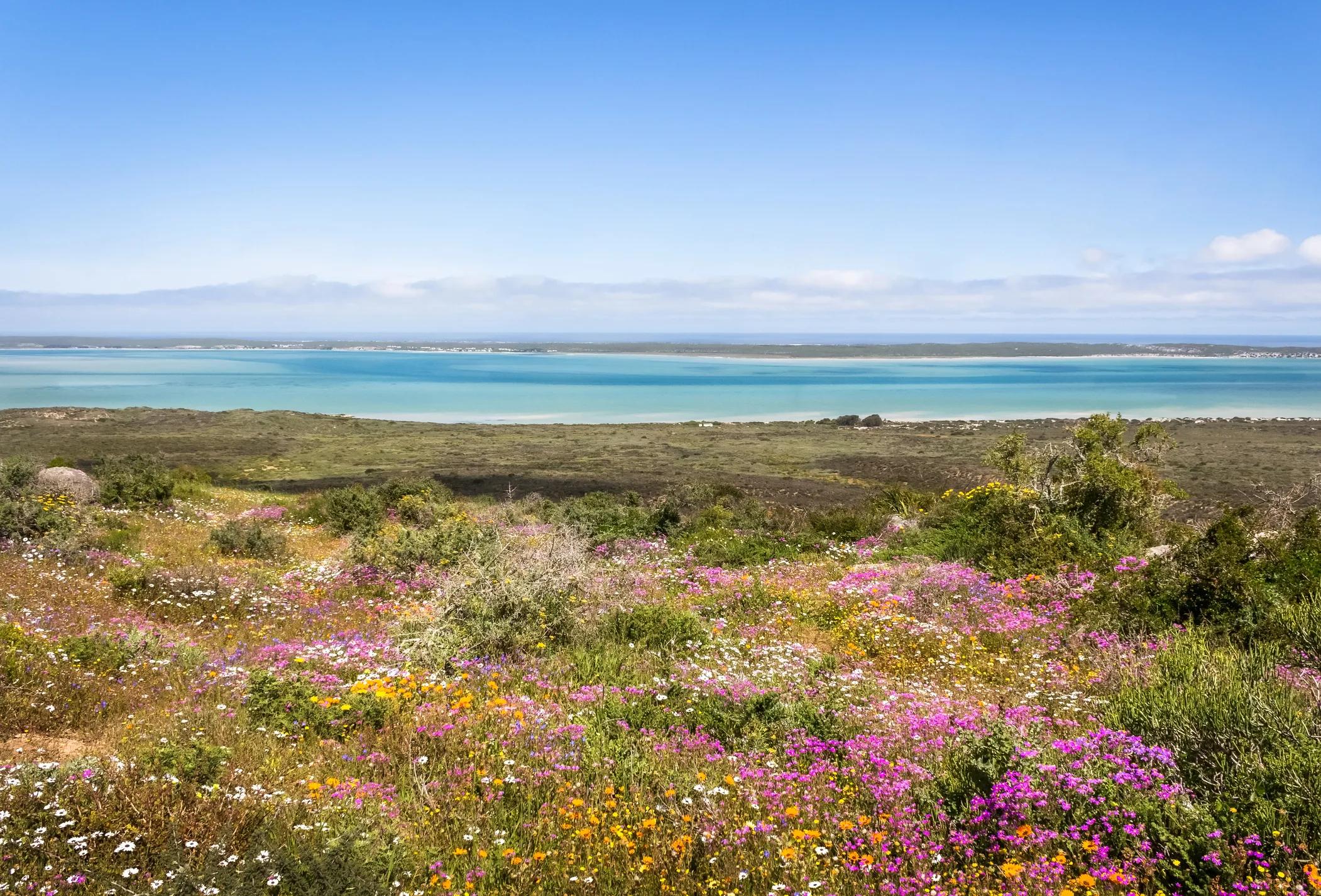 A view of Langebaan