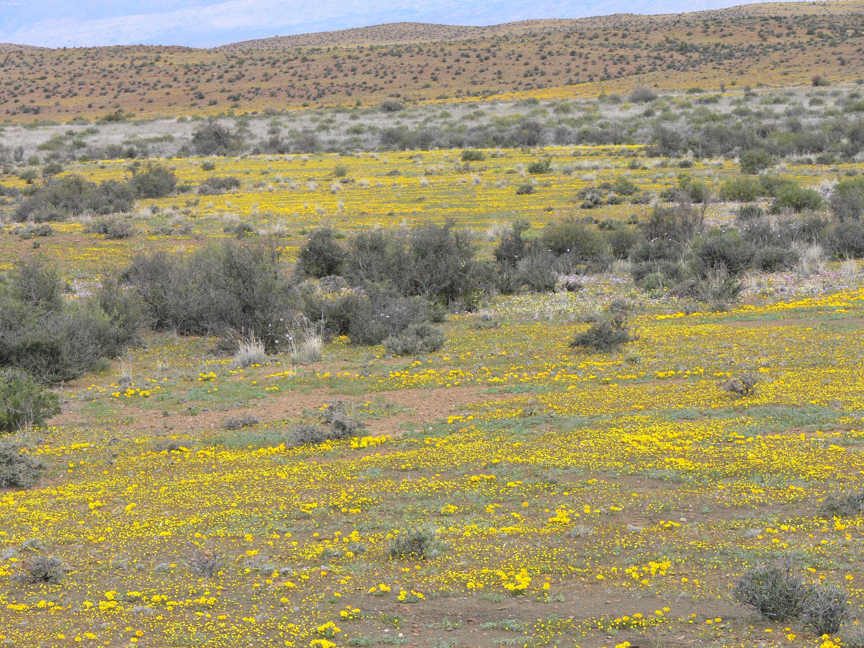 A view of Aggeneys, a town in the Northern Cape province