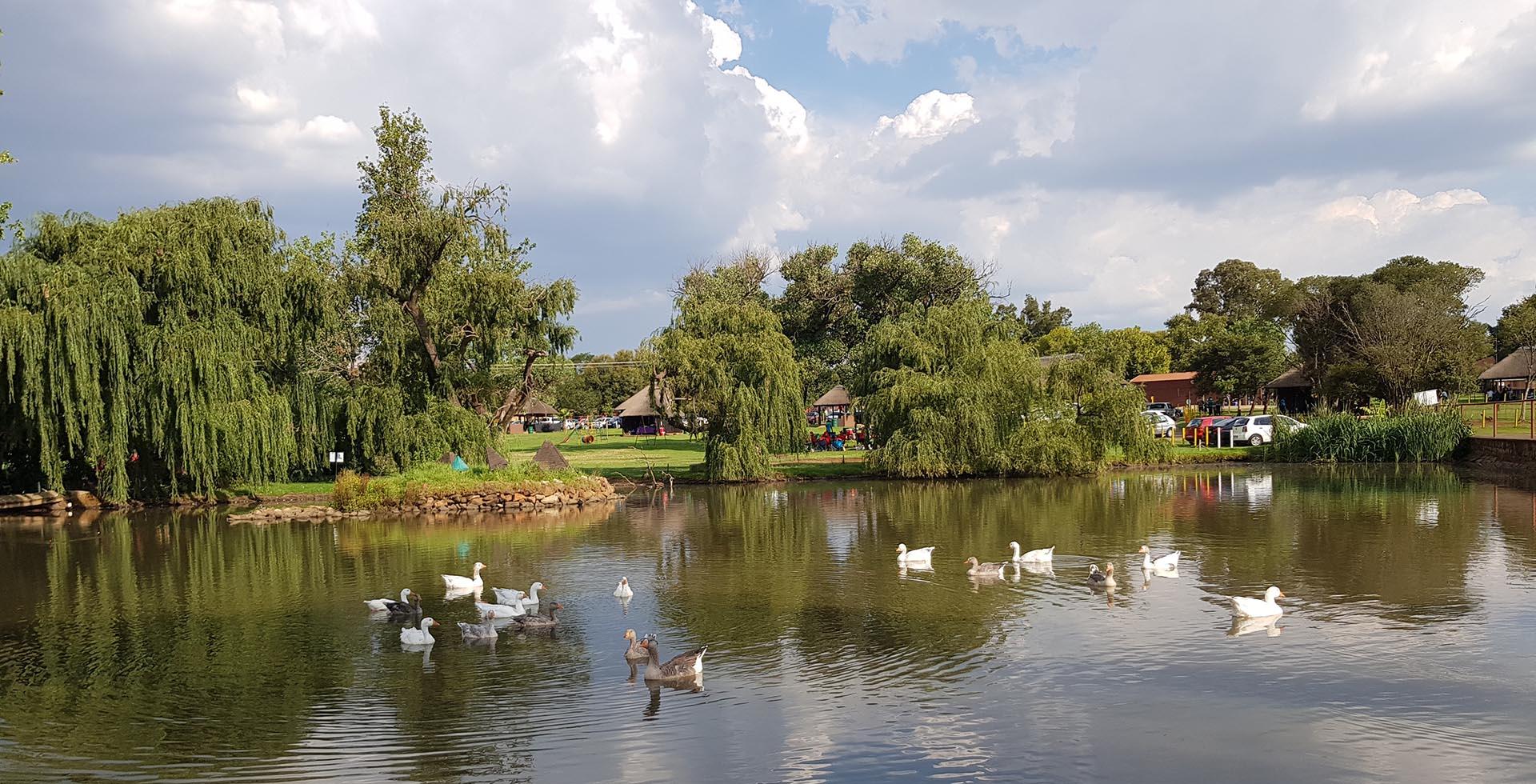 A view of Alberton, a town in the Gauteng province
