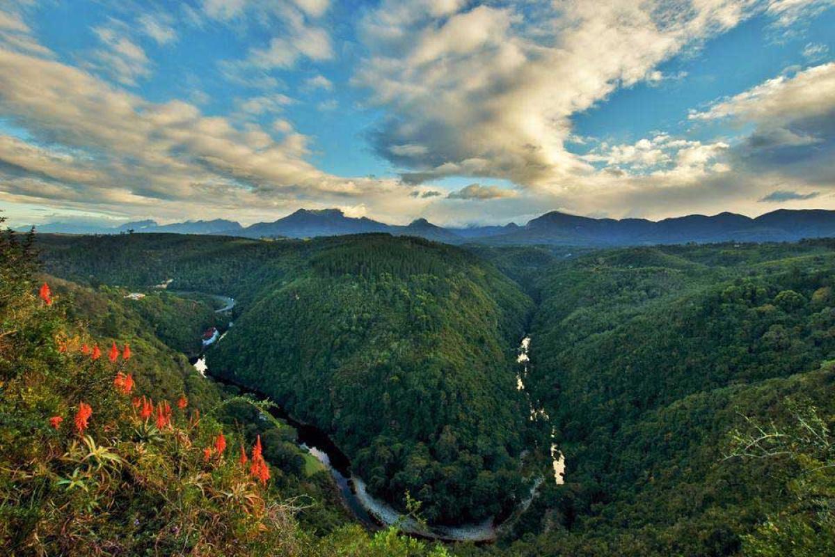 A view of Wilderness