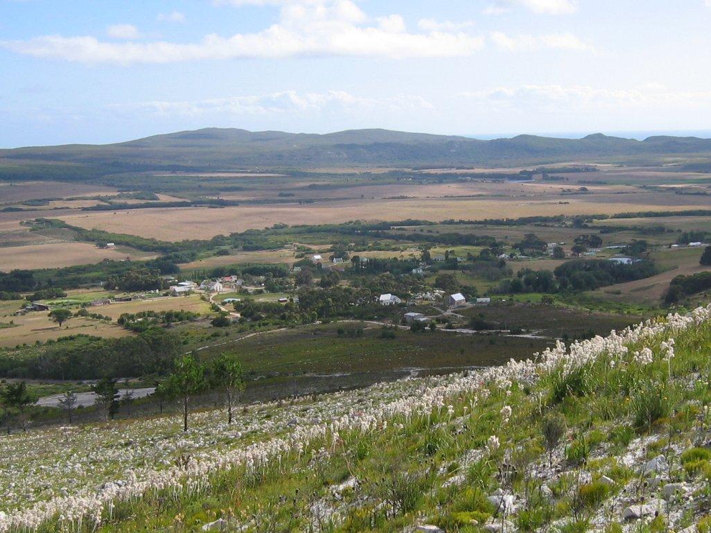 A view of Baardskeerdersbos, a town in the Western Cape province