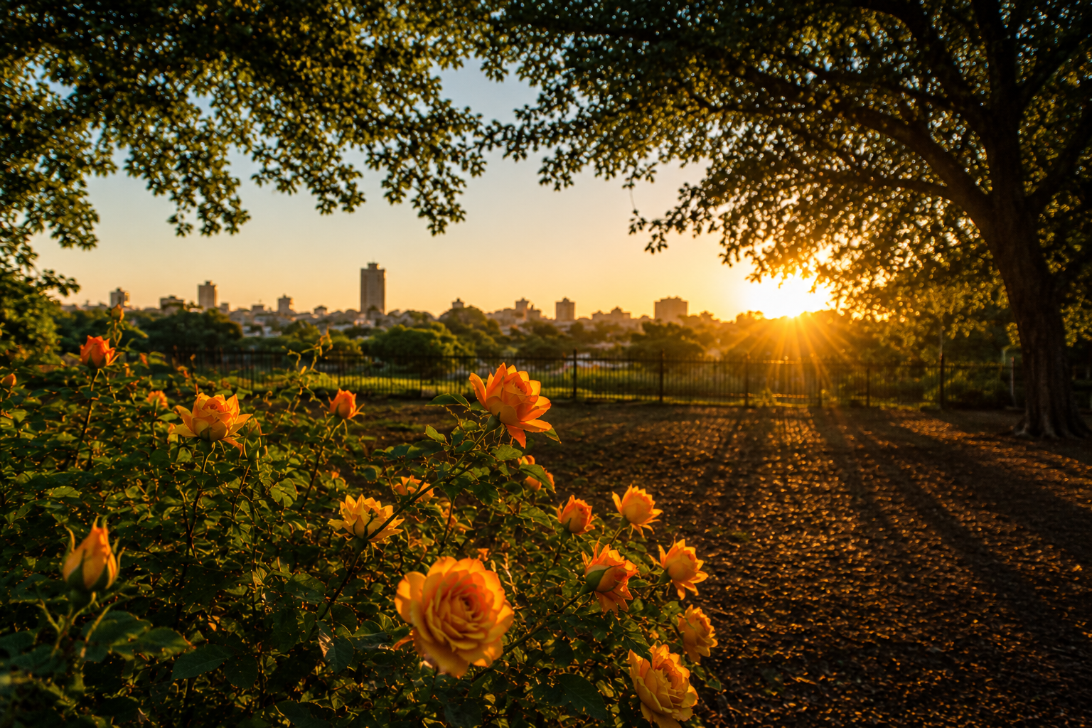 A view of Bloemfontein, a town in the Free State province