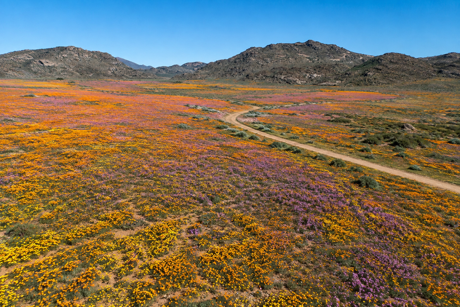 A view of Calvinia, a town in the Northern Cape province
