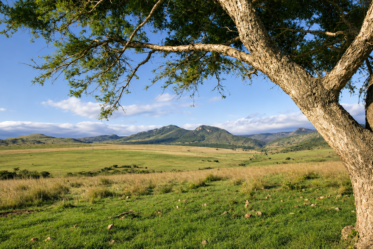 A view of Badplaas, a town in the Mpumalanga province