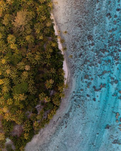 Is Tahaa safe?