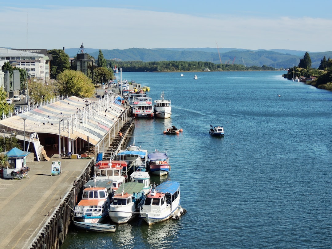 Hospitality exchange in Valdivia