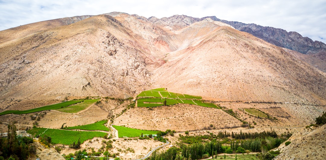 Pisco Elqui