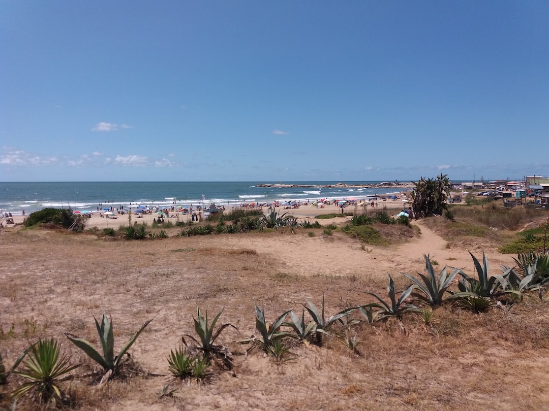 Hospitality exchange in Punta Del Diablo