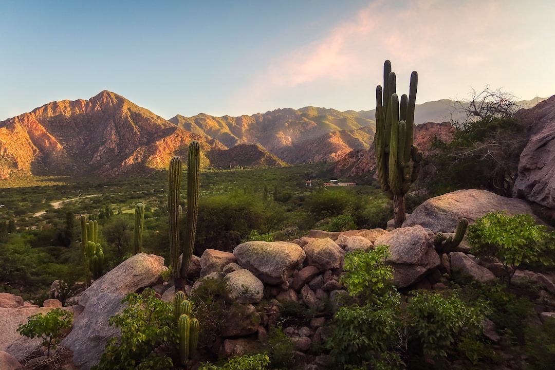 Hospitality exchange in Salta