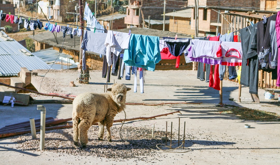 Hospitality exchange in Cajamarca
