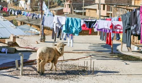 Solo Travel in Cajamarca