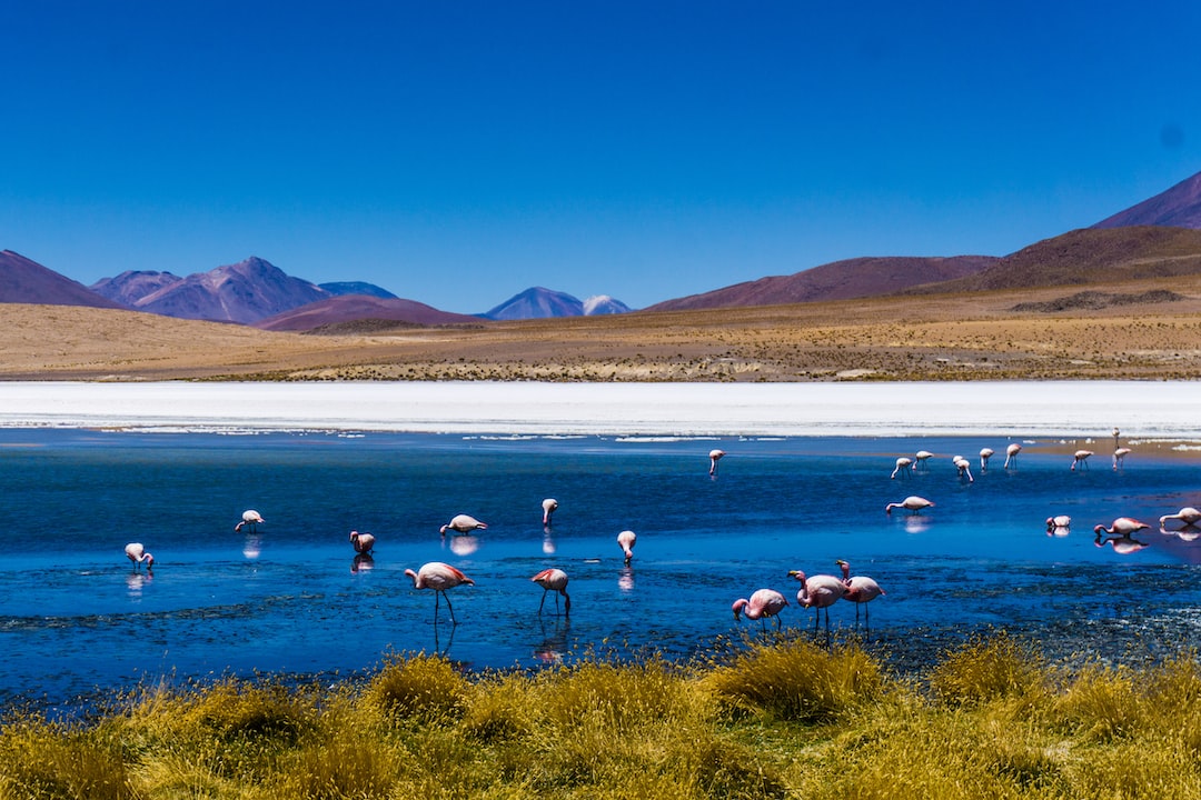 Cheap countries to visit in South America