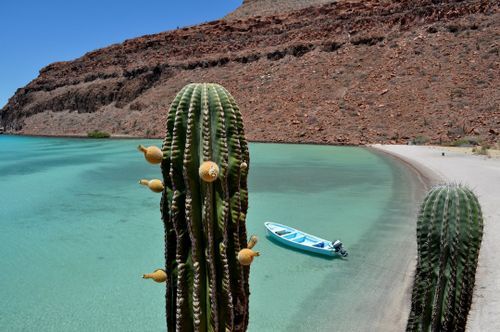 Couch Surfing in Baja California Sur