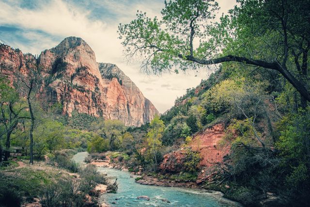 Solo Female Travel in Zion National Park