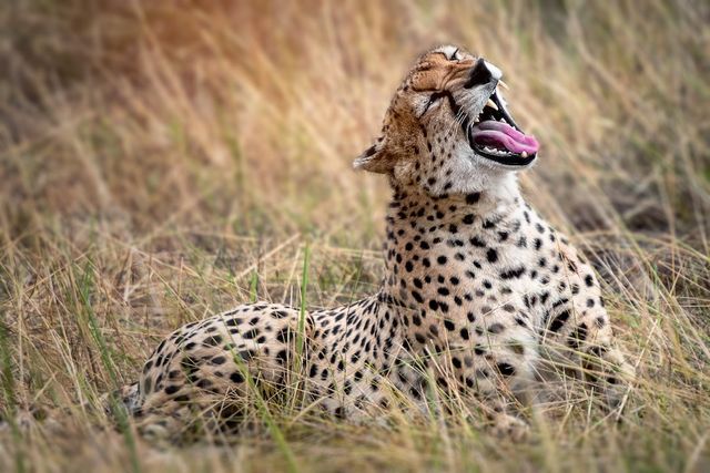 Safest places in Tanzania for solo female travellers
