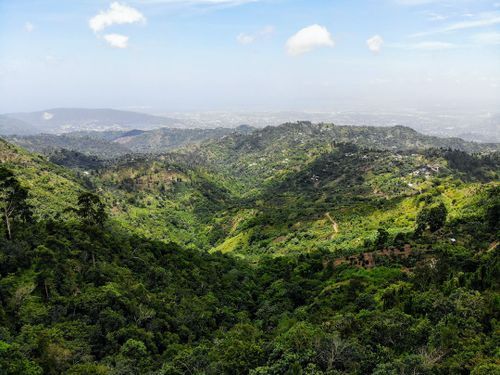 Solo Travel in Jamaica