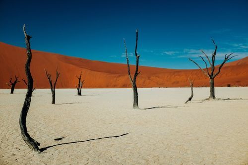 Solo Travel in Namibia
