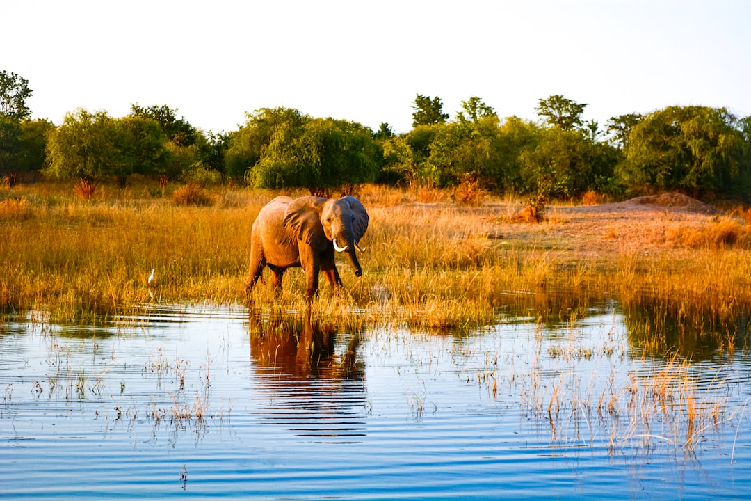 Safest places to visit in Zimbabwe