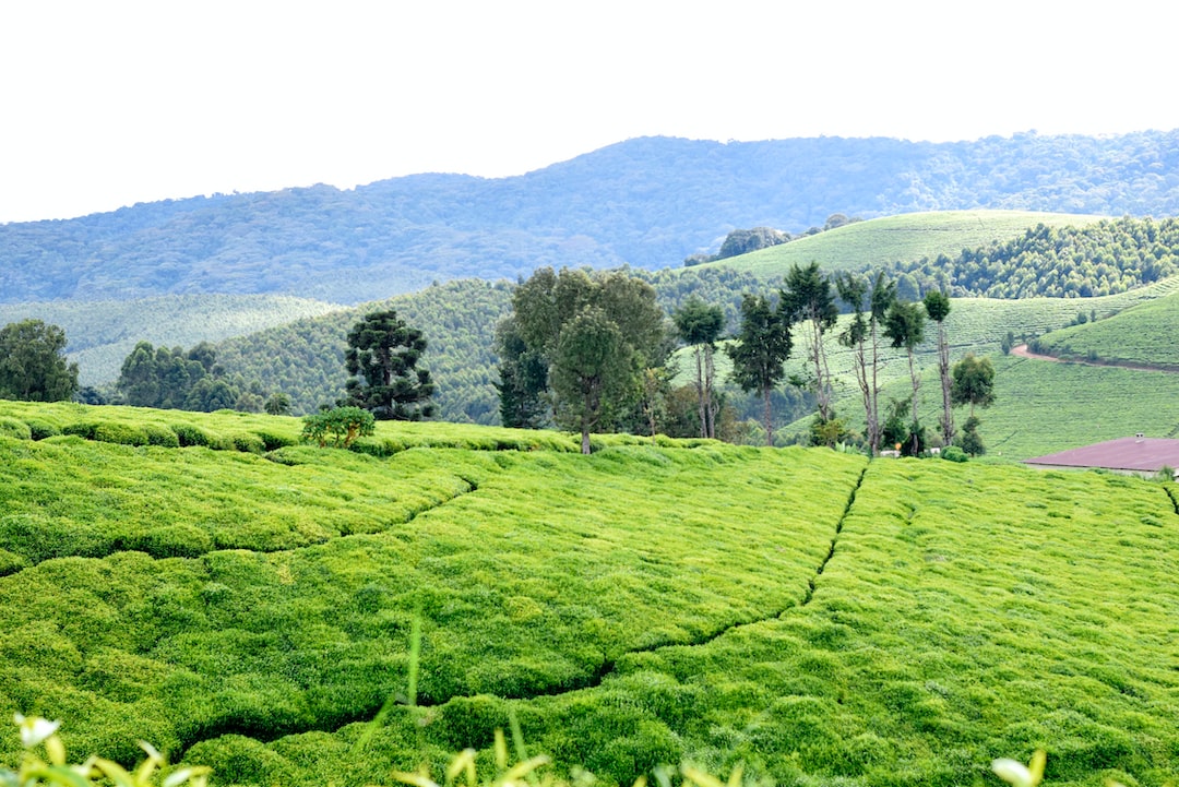 Safest places in Burundi