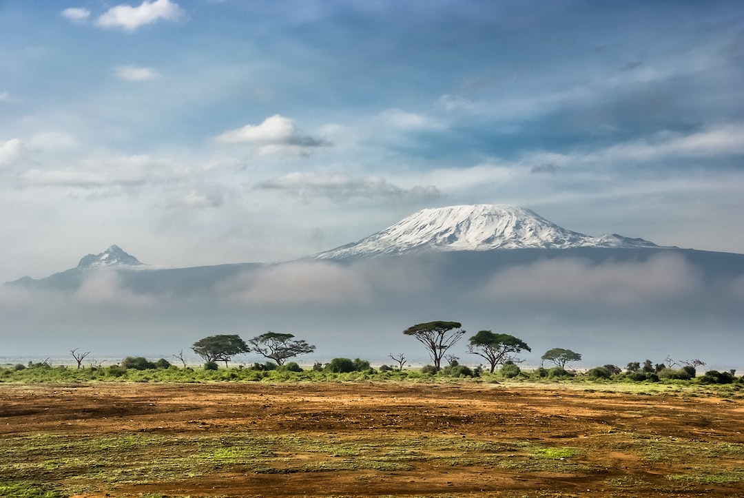 Hospitality exchange in Kenya