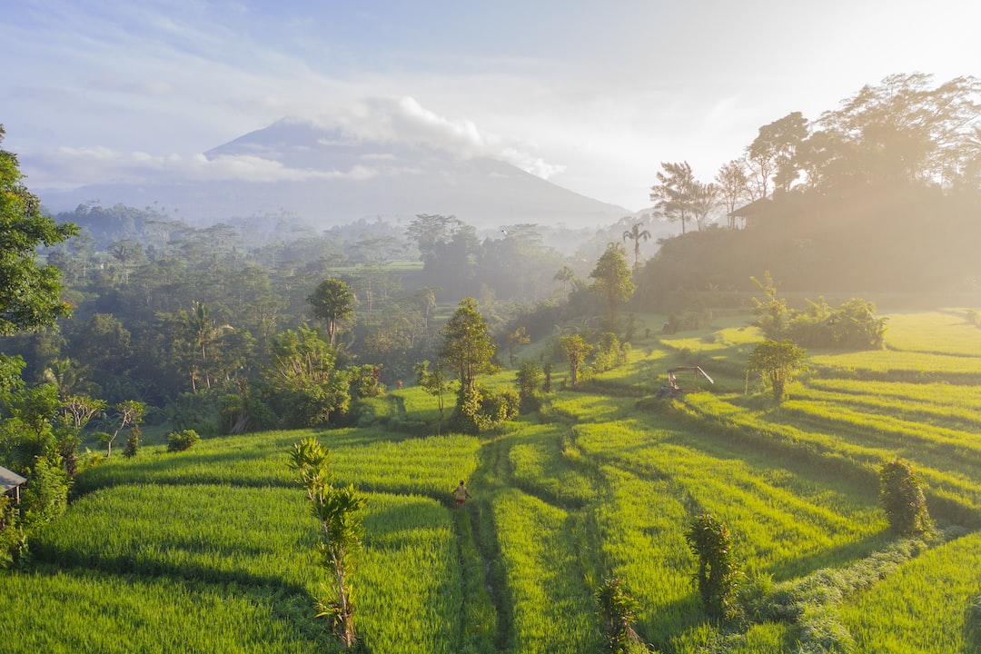 Hospitality exchange in Indonesia
