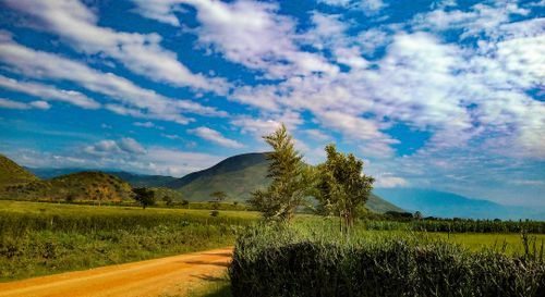 Solo Travel in Uganda