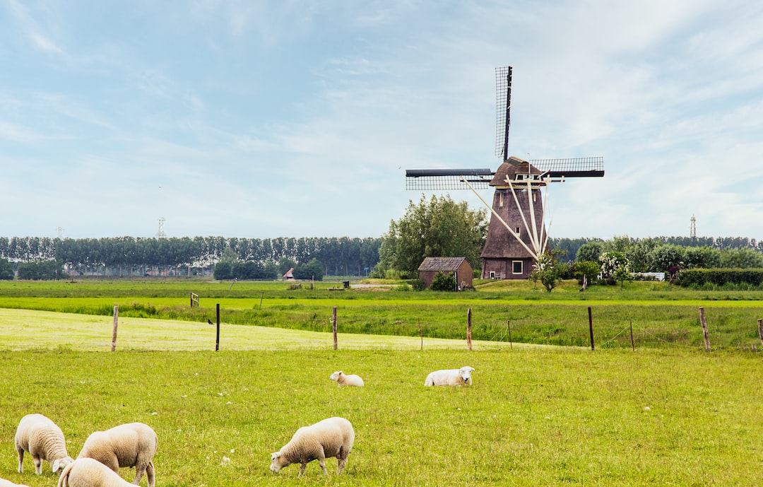 Best places to visit in Netherlands