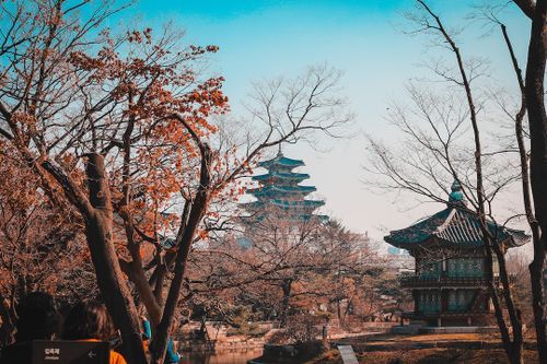 Solo Travel in South Korea